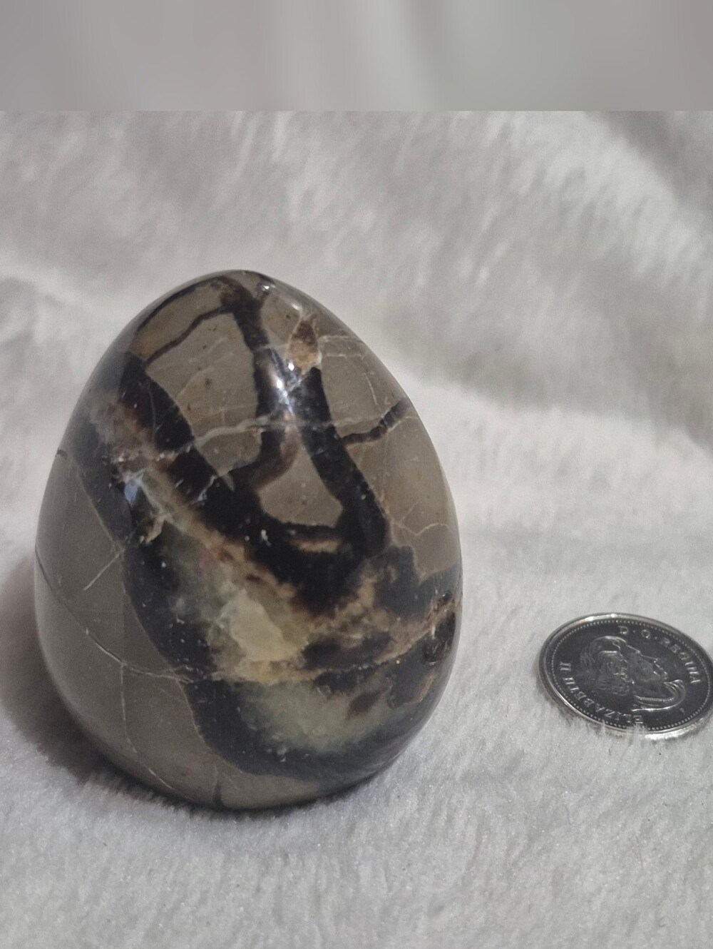 Septarian egg